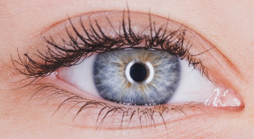 Close Up Of A Blue Eye Of A Woman